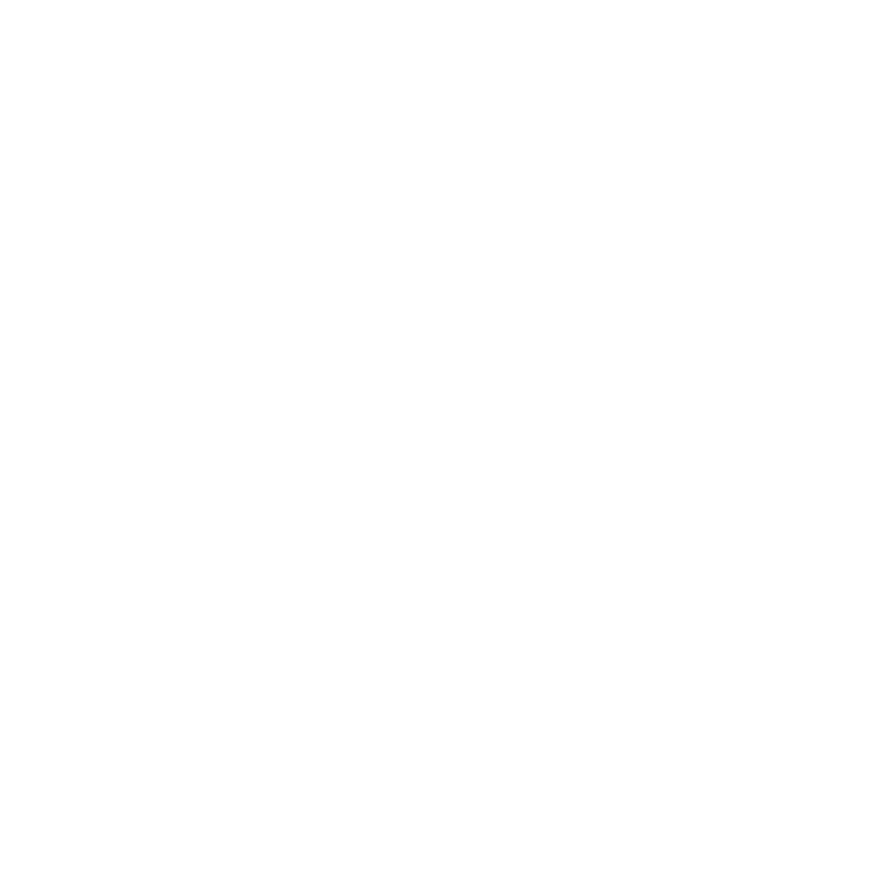 La Catedral De Navarra